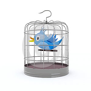 Blue bird inside the cage that chirps