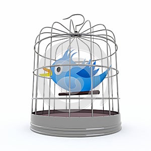 Blue bird inside the cage that chirps