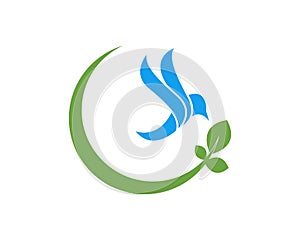 Blue Bird Logo Design Vector