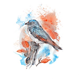 Blue bird painted with watercolor