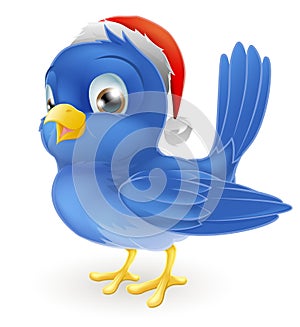 Blue bird in Santa Claus hat