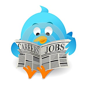 Blue bird Search Jobs