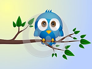 Blue bird sitting on twig
