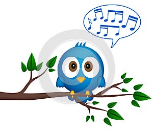 Blue bird sitting on twig, singing