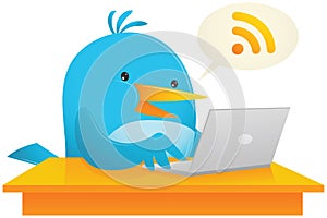 Blue Bird using computer