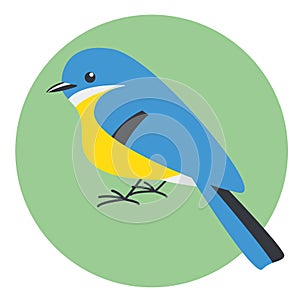 Blue bird, vector illustration, flat style, side