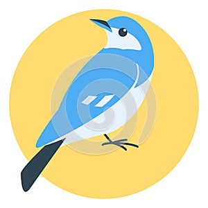 Blue bird, vector illustration, flat style, side photo