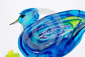 Blue bird watercolor