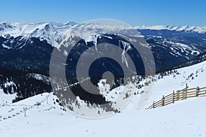 Blue Bird at `Zuma, Montezuma Bowl, Arapahoe Basin, Summit County, Colorado photo