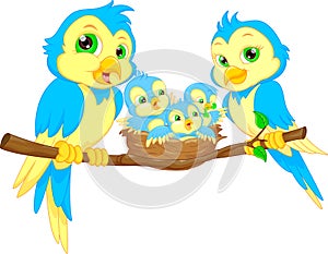 Blue birds family