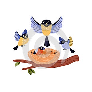 Blue birds fly over the nest on tree branch, cute bird family home, vector cartoon nature wildlife, bullfinch and tits