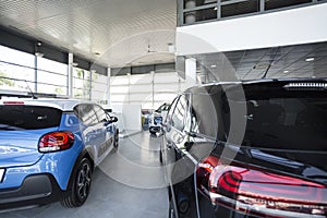 Blue and black cars standing in a bright, luxury leasing salon