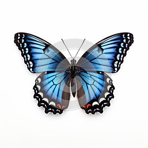 Blue And Black Papillon Butterfly: Isolated Fine Art Photography
