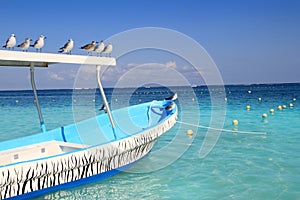 Blue boat seagulls Caribbean turquoise sea