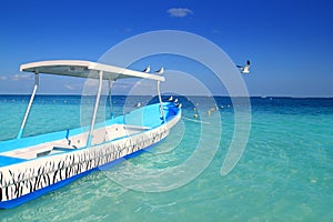 Blue boat seagulls Caribbean turquoise sea