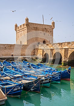 blue boats at old habour of essaouira