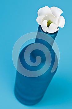 Blue bottle with flower