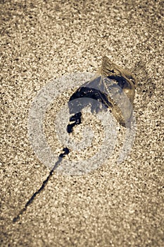 Blue Bottle - Portuguese Man-of-War