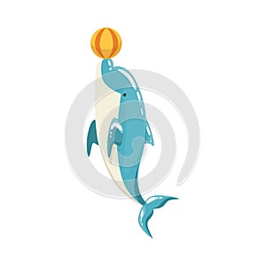 Blue Bottlenose Dolphin Balancing A Ball For Entertainment Show, Realistic Aquatic Mammal Vector Drawing