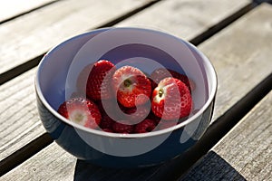 Blue bowl filled with freshly-picked strawberries