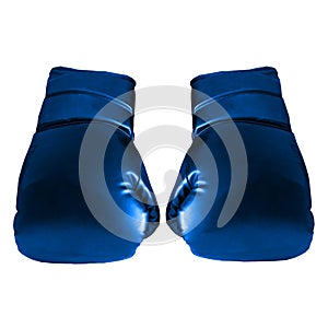Blue Boxing Gloves