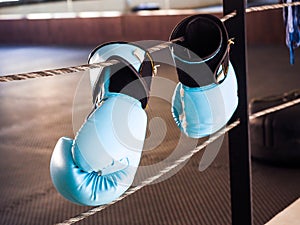 Blue boxing gloves hanging on the boxing ring