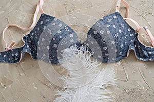 Blue bra on a concrete background. Delicate cotton and white feathers