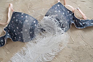 Blue bra on a concrete background. Delicate cotton and white feathers