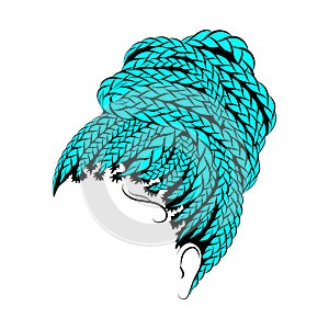 Blue braided hair