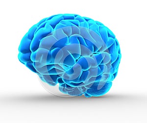 Modrý mozek 