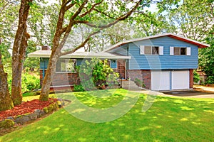 Blue brick American rambler exterior with nice front garden.