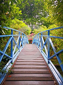 Blue bridge photo