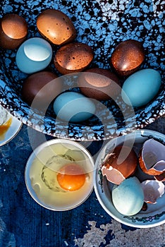 Blue and brown eggs cooking ingredient food preparation