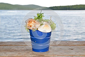 Blue bucket with shells and seaweed standing on a wooden table against the Japanese sea on a summer evening