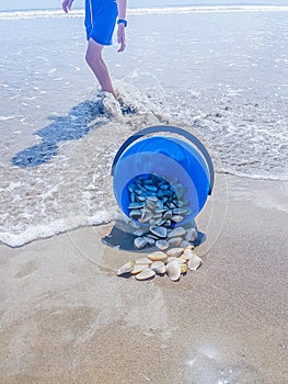 Blue bucket tipped over on beach