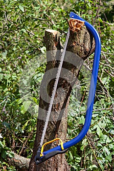 Blue bucksaw with yellow handle