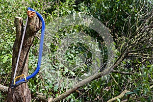 Blue bucksaw with yellow handle