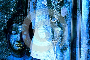 Blue Buddha