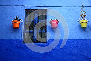 Blue buildings in Chefchaouen old city,Morocco