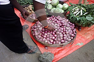 Blue bulb onion, red onion