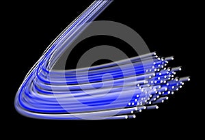 Blue bundle of fiber optic cables