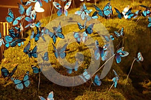 Blue butterflies above nativity creche scene