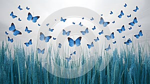Blue butterflies flutter against a serene white background