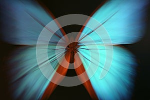 Blue butterfly abstract with zoom