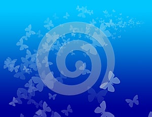Blue Butterfly Background