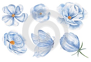 Blue butterfly and blossoms watercolor raster illustration set