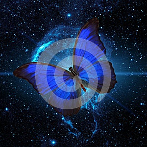 Blue butterfly flying across the starry sky. Elements of this image furnished by NASA