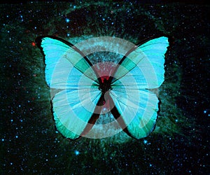 Blue butterfly flying across the starry sky. Elements of this image furnished by NASA