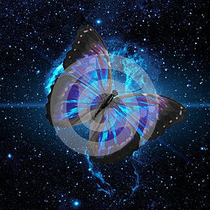 blue butterfly flying across the starry sky. Elements of this image furnished by NASA