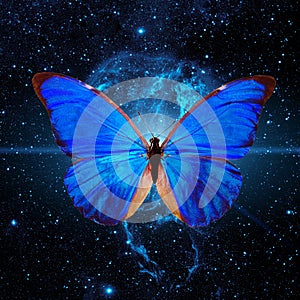 blue butterfly flying across the starry sky. Elements of this image furnished by NASA